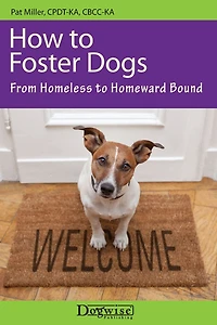 How To Foster Dogs - From Homeless Homeward Bound