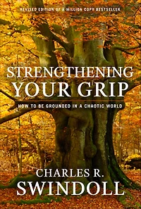 Strengthening Your Grip: How to Be Grounded a Chaotic World