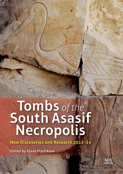 Tombs of the South Asasif Necropolis: Thebes, Karakhamun (TT 223), and Karabasken (TT 391) in the Twenty-fifth Dynasty