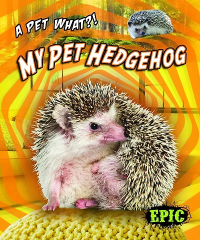 My Pet Hedgehog