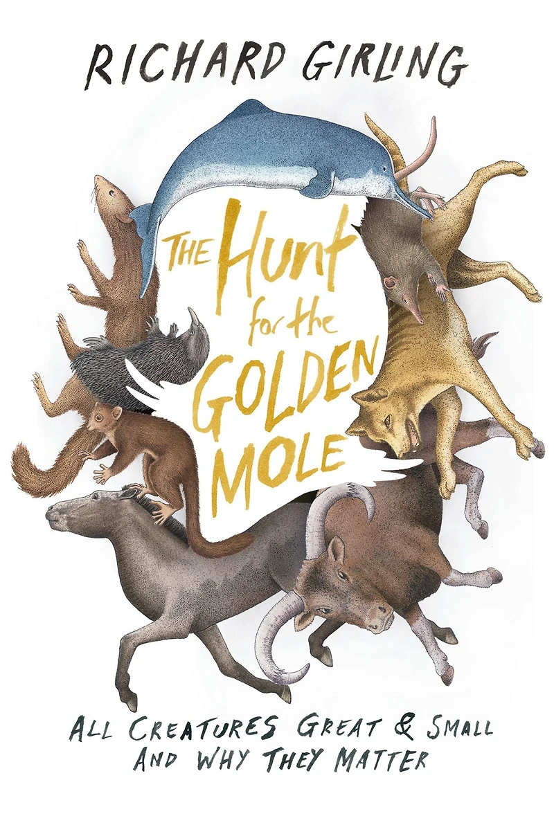 the Hunt for Golden Mole: All Creatures Great & Small and Why They Matter