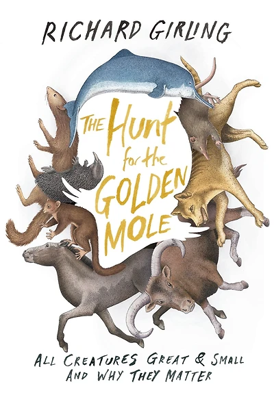 the Hunt for Golden Mole: All Creatures Great & Small and Why They Matter