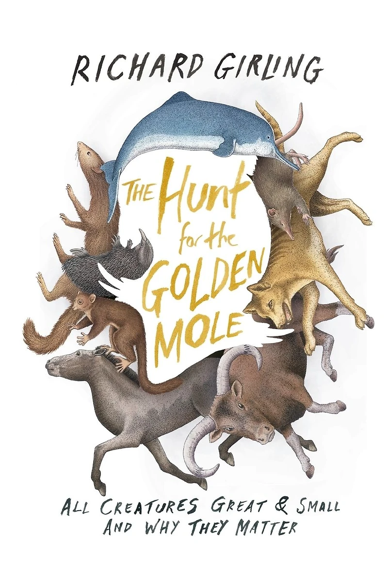 the Hunt for Golden Mole: All Creatures Great & Small and Why They Matter
