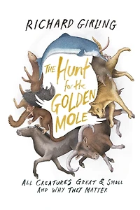 the Hunt for Golden Mole: All Creatures Great & Small and Why They Matter