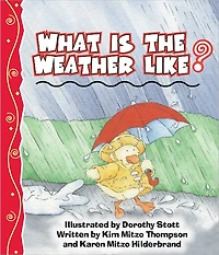 What Is The Weather Like?
