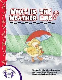 What is the Weather Like Today?