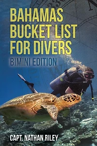 Bahamas Bucket List for Divers: Bimini Edition