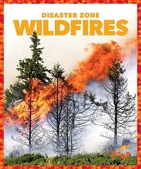 Wildfires