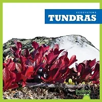 Tundras