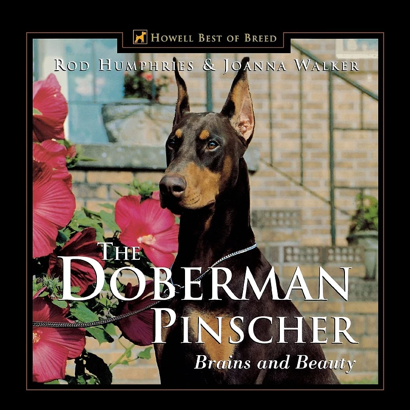 The Doberman Pinscher: Brains and Beauty