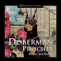 The Doberman Pinscher: Brains and Beauty