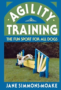 Agility Training: The Fun Sport for All Dogs