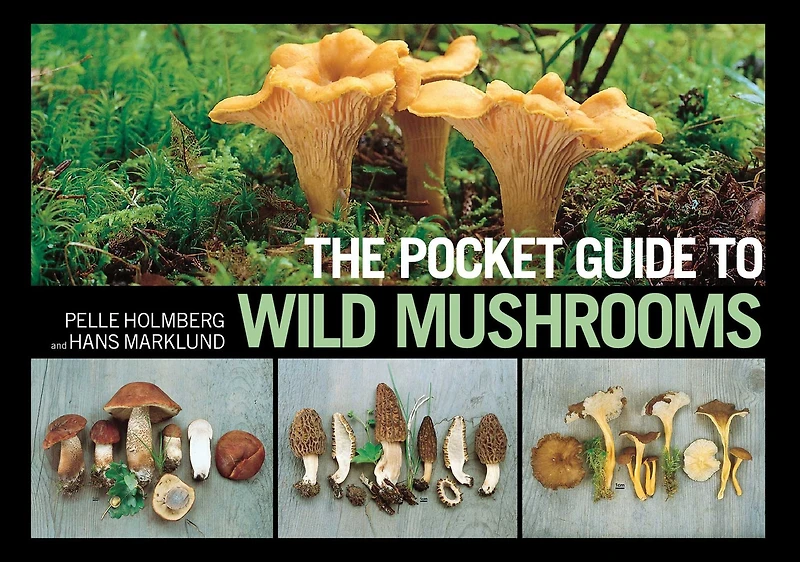 the Pocket Guide to Wild Mushrooms: Helpful Tips for Mushrooming Field