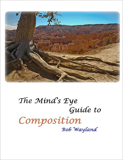 The Mind's Eye Guide to Composition: Book One: Psychology of Composition or Painless Photographic Compositions