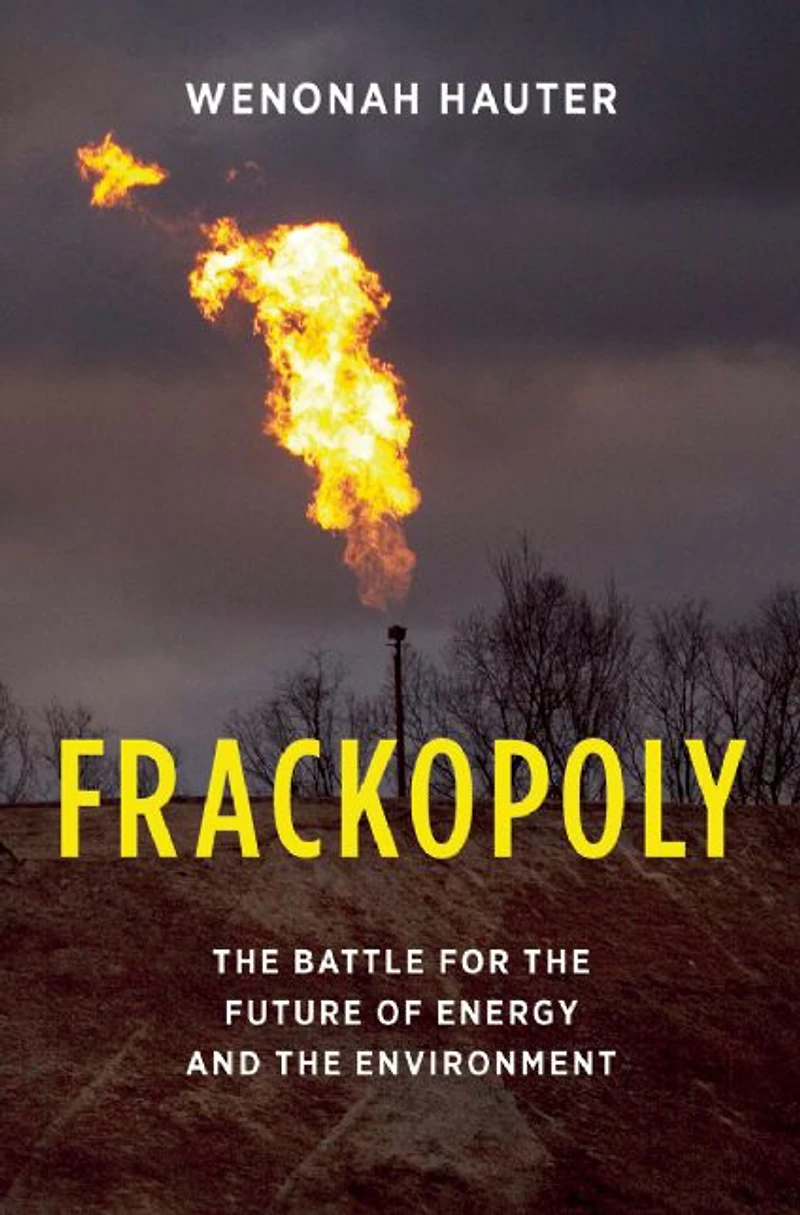 Frackopoly: the Battle for Future of Energy and Environment
