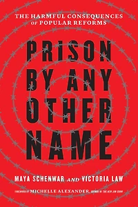 Prison by Any Other Name: The Harmful Consequences of Popular Reforms