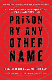 Prison by Any Other Name: The Harmful Consequences of Popular Reforms