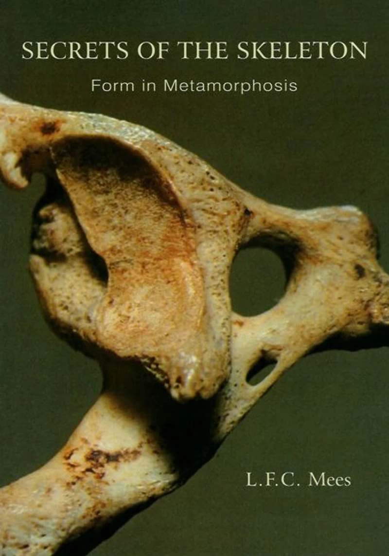 Secrets of the Skeleton: Form Metamorphosis