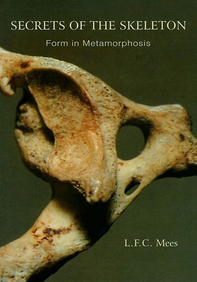 Secrets of the Skeleton: Form Metamorphosis