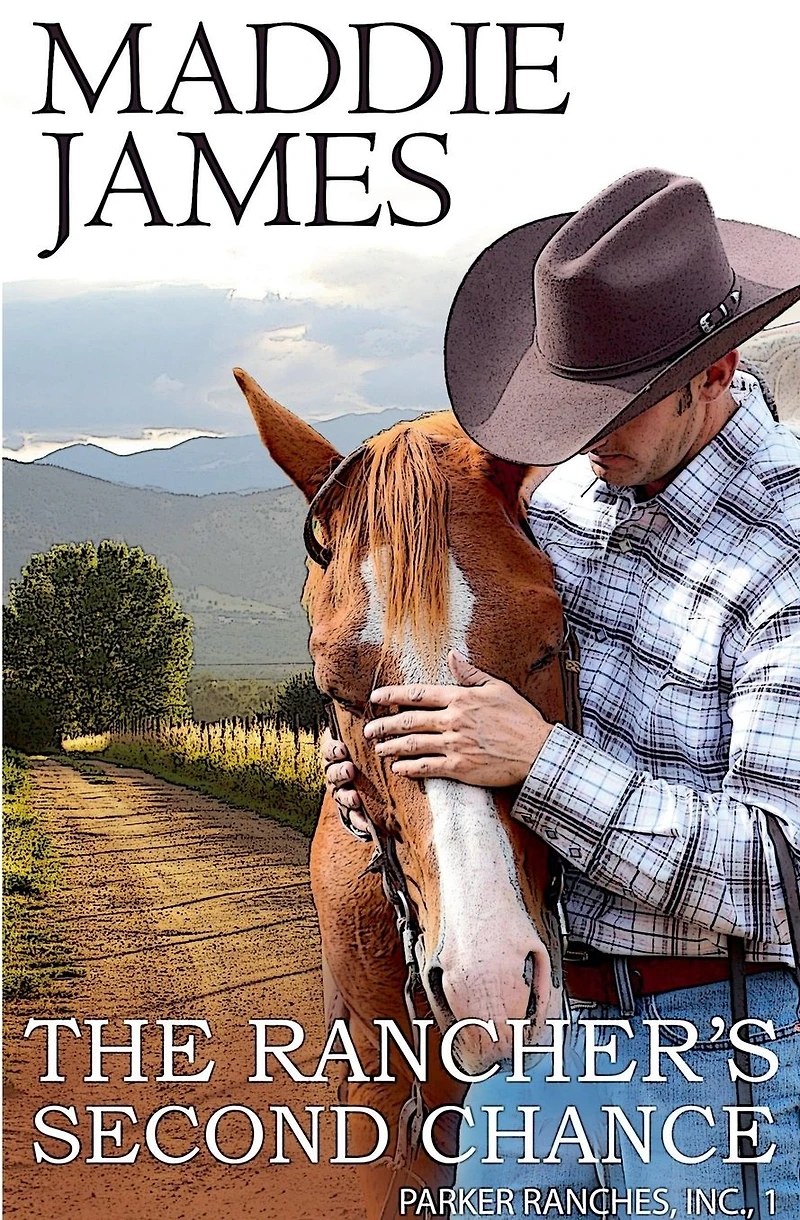 The Rancher's Second Chance