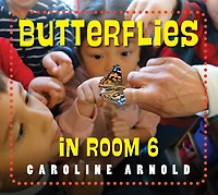 Butterflies Room 6: See How They Grow