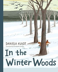 the Winter Woods