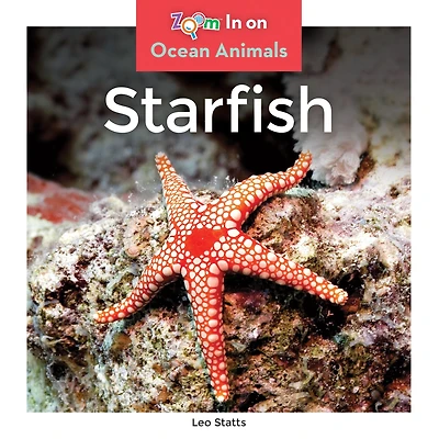 Starfish