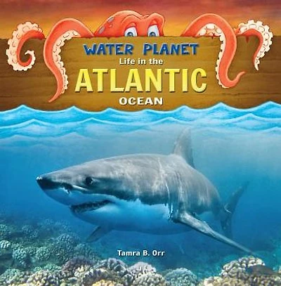 Atlantic Ocean