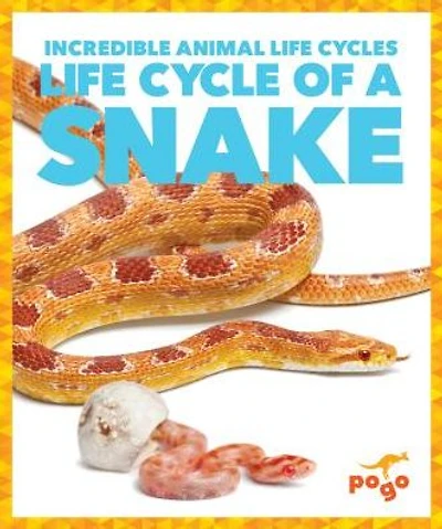 Life Cycle of a Snake