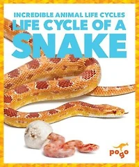 Life Cycle of a Snake