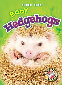 Baby Hedgehogs