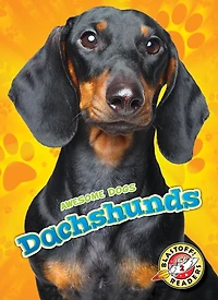 Dachshunds