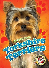 Yorkshire Terriers