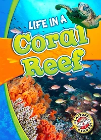 Life a Coral Reef