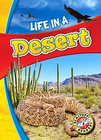 Life a Desert