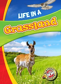 Life a Grassland