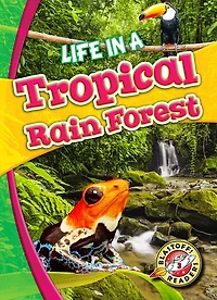 Life a Tropical Rain Forest