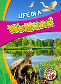 Life a Wetland
