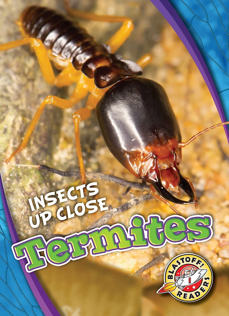 Termites