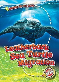 Leatherback Sea Turtle Migration
