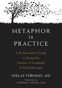 Metaphor Practice: A Professional's Guide to Using the Science of Language Psychotherapy