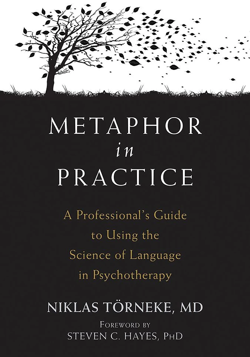Metaphor Practice: A Professional's Guide to Using the Science of Language Psychotherapy