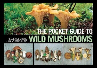 the Pocket Guide to Wild Mushrooms: Helpful Tips for Mushrooming Field