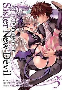 The Testament of Sister New Devil Vol. 3