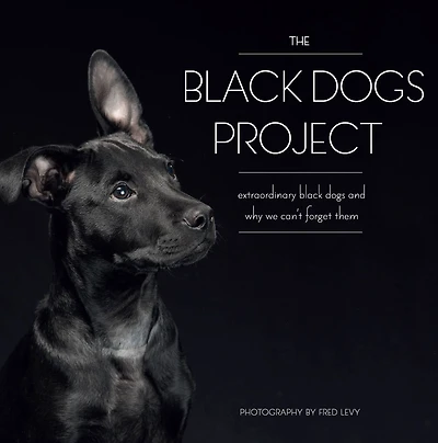 The Black Dogs Project: Extraordinary Black Dogs and Why We Can't Forget Them