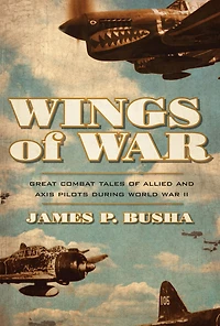 Wings of War: Great Combat Tales Allied and Axis Pilots During World War II