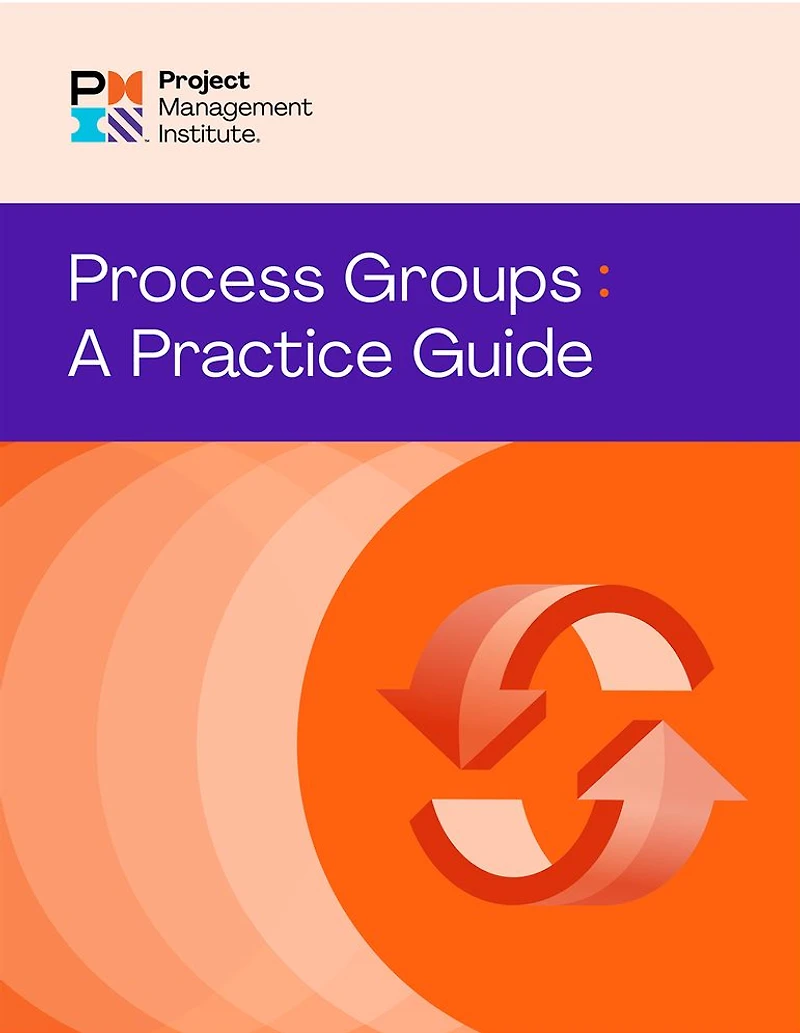 Process Groups: A Practice Guide (SPANISH)