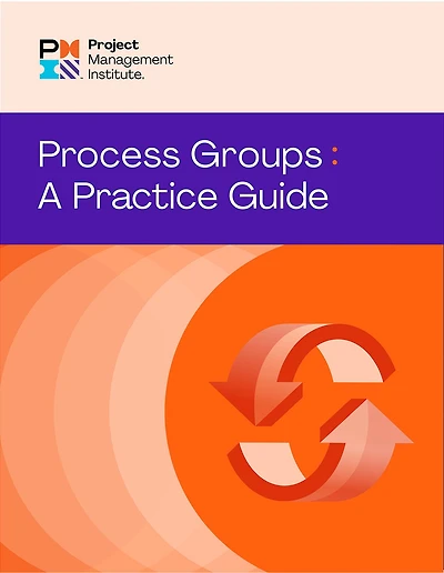 Process Groups: A Practice Guide (SPANISH)