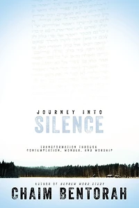 Journey into Silence: Transformation Through Contemplation, Wonder, and Worship