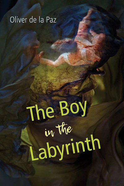 the Boy Labyrinth: Poems